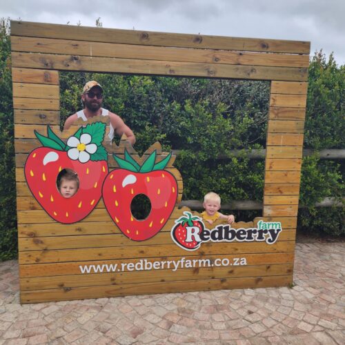 Redberry Farm 3